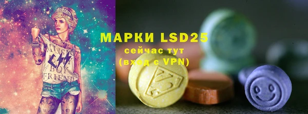 ПСИЛОЦИБИНОВЫЕ ГРИБЫ Абаза