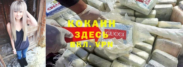 ПСИЛОЦИБИНОВЫЕ ГРИБЫ Абаза