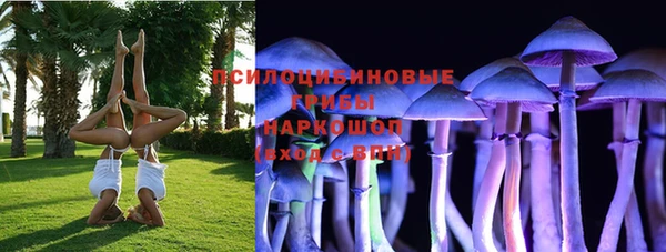 ПСИЛОЦИБИНОВЫЕ ГРИБЫ Абаза